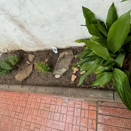 Planta Baja Con Un Patio Interior En El Centro De