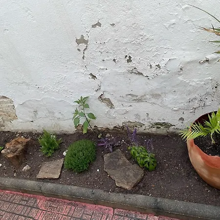 아파트 Planta Baja Con Patio Interior De Lujo 카라펠