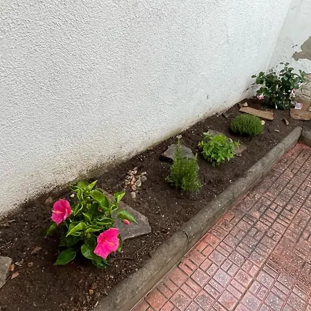 Planta Baja Con Un Patio Interior En El Centro De * Calafell